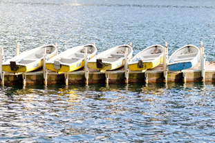 ヒミズのあらすじ